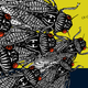 Image for article titled How to Roll Out the Welcome Wagon for Your New Cicada Neighbors